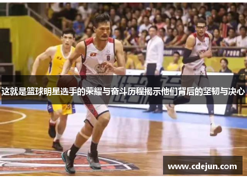 这就是篮球明星选手的荣耀与奋斗历程揭示他们背后的坚韧与决心