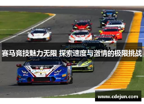 赛马竞技魅力无限 探索速度与激情的极限挑战