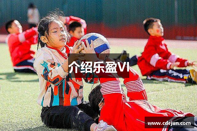 介绍乐盈VI
